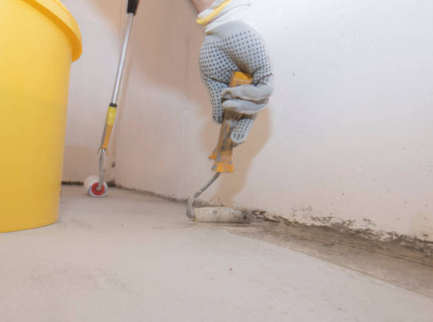 Best Commercial Pest Control  in Puget Island, WA